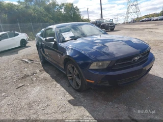 FORD FORD MUSTANG V6/V6 PREMIUM