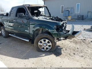 FORD FORD F-150 XLT