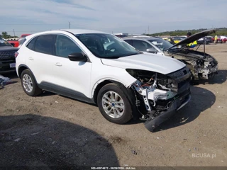 FORD FORD ESCAPE SE HYBRID