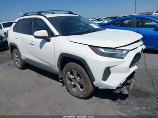 TOYOTA TOYOTA RAV4 XLE
