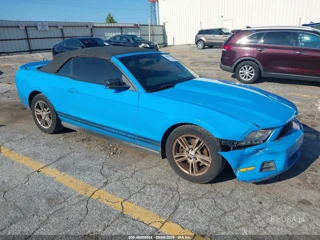 FORD FORD MUSTANG V6