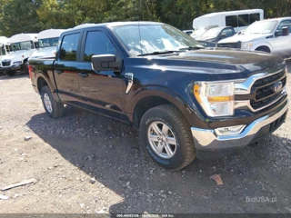 FORD FORD F-150 XLT