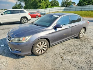 HONDA ACCORD EXL