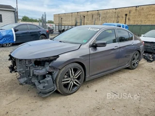 HONDA ACCORD SPORT SPECIAL EDITION