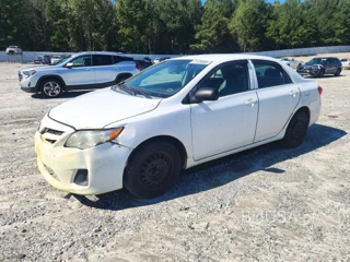 TOYOTA COROLLA BASE