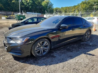 ACURA TLX TECH A