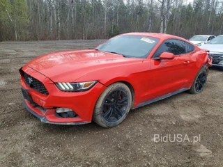 FORD MUSTANG 2DR