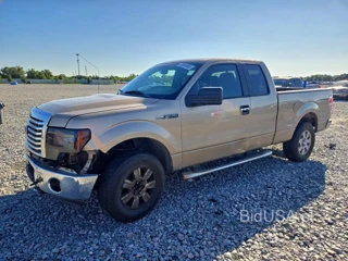 FORD F150 XLT