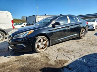 HYUNDAI SONATA ECO