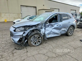 FORD ESCAPE SEL
