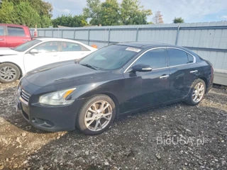 NISSAN MAXIMA 3.5 SV