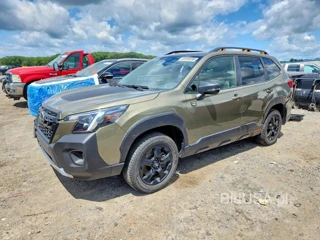 SUBARU FORESTER WILDERNESS
