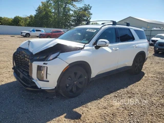 HYUNDAI PALISADE XRT