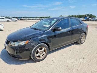 KIA FORTE EX