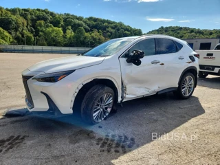 LEXUS NX 350 LUXURY
