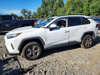 TOYOTA RAV4 HYBRID XLE
