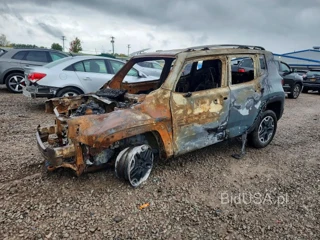 JEEP RENEGADE TRAILHAWK