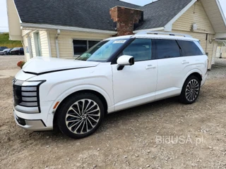 HYUNDAI PALISADE CALLIGRAPHY