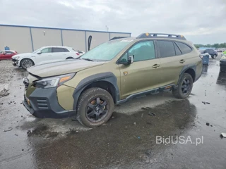 SUBARU OUTBACK WILDERNESS