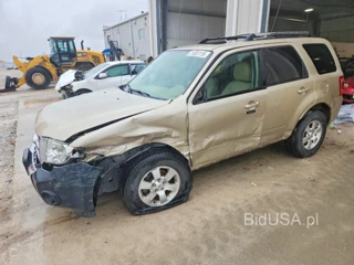 FORD ESCAPE LIMITED