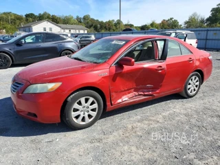 TOYOTA CAMRY HYBRID