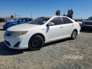 TOYOTA CAMRY HYBRID LE