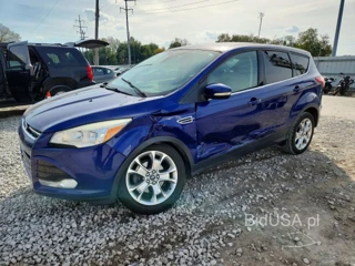 FORD ESCAPE SEL