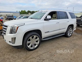 CADILLAC ESCALADE LUXURY