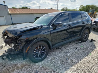 HONDA CR-V EXL