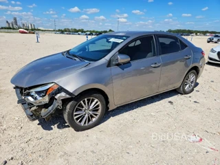 TOYOTA COROLLA LE PLUS
