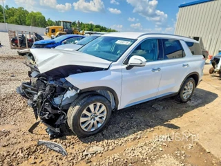 HYUNDAI PALISADE SEL
