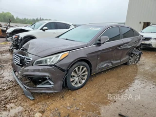 HYUNDAI SONATA SPORT
