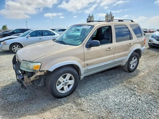 FORD ESCAPE HEV