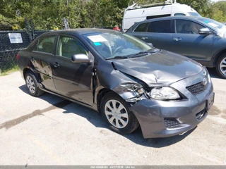TOYOTA TOYOTA COROLLA LE