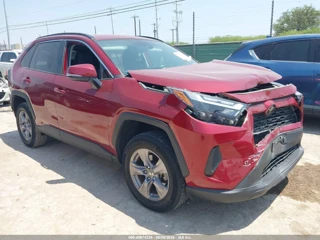 TOYOTA TOYOTA RAV4 XLE