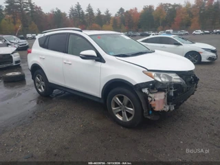 TOYOTA TOYOTA RAV4 XLE