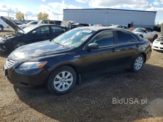 TOYOTA CAMRY HYBRID