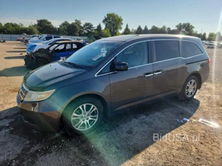 HONDA ODYSSEY EXL