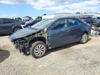 TOYOTA COROLLA LE