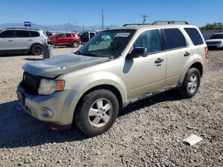 FORD ESCAPE XLT