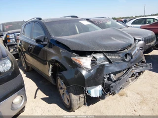 TOYOTA TOYOTA RAV4 XLE