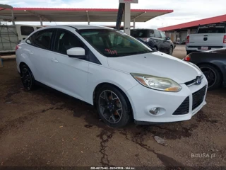 FORD FORD FOCUS SE