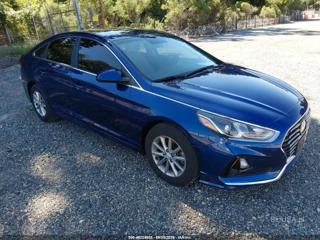 HYUNDAI HYUNDAI SONATA ECO