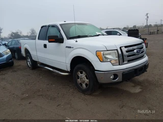 FORD FORD F-150 STX/XL/XLT