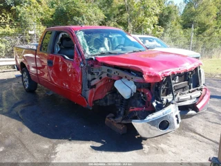 FORD FORD F-150 XLT