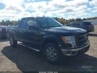 FORD FORD F-150 XLT