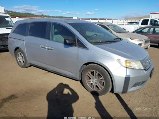 HONDA HONDA ODYSSEY EX-L