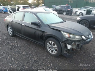 HONDA HONDA ACCORD LX