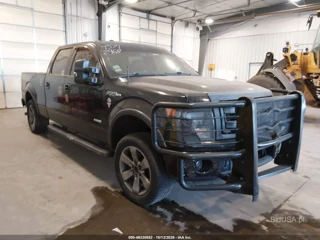 FORD FORD F-150 FX4