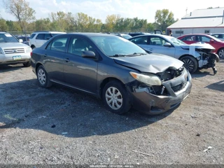 TOYOTA TOYOTA COROLLA LE